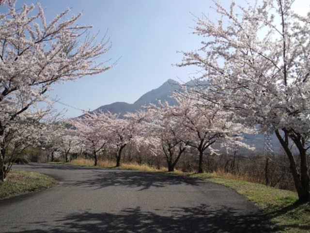 Gasthaus Itsubinosato Yufu Exterior foto